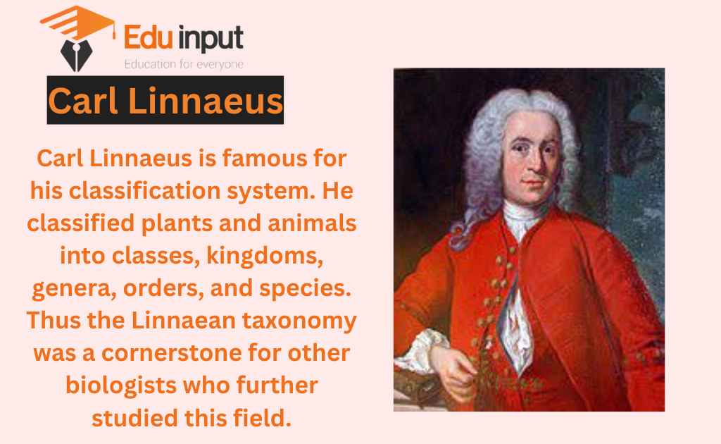 image-representing-Carl-Linnaeus_