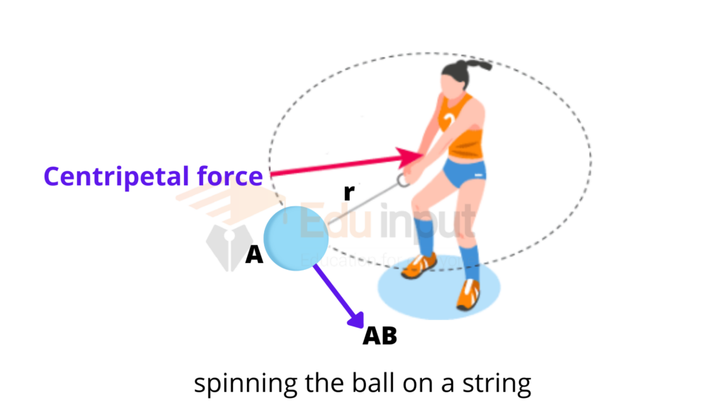 image showing the ball spinning on a string due to centripetal force