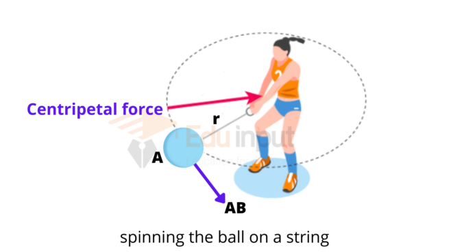 Difference Between Centripetal Force And Centrifugal Force