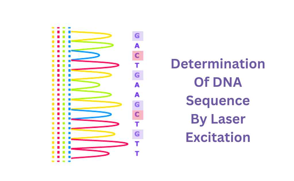 image showing sequence detection by sanger sequencing