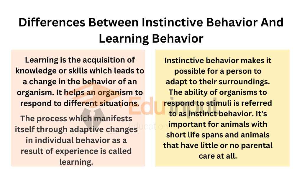 Differences Between Instinctive Behavior And Learning Behavior