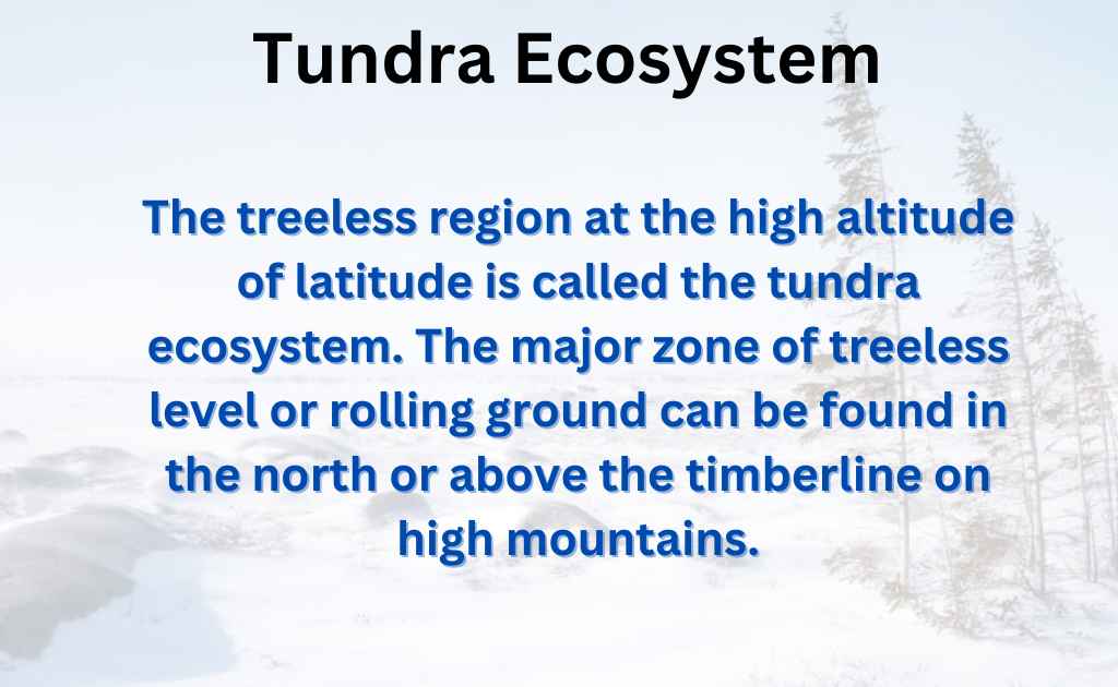 image showing Tundra Ecosystem