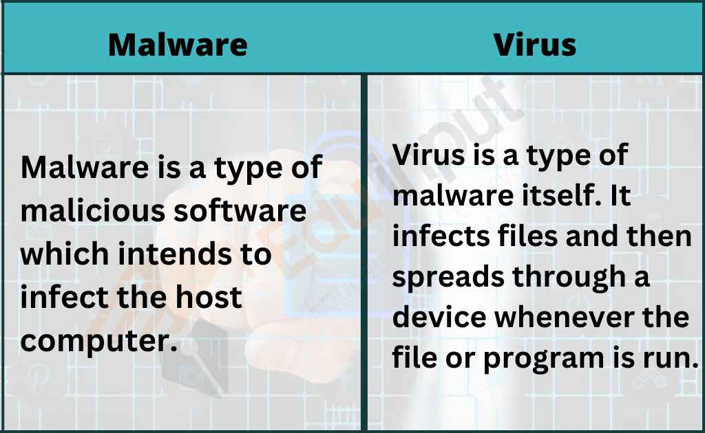 image showing the malware vs virus