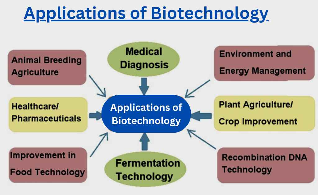 Applications of Biotechnology In Today's Scenario