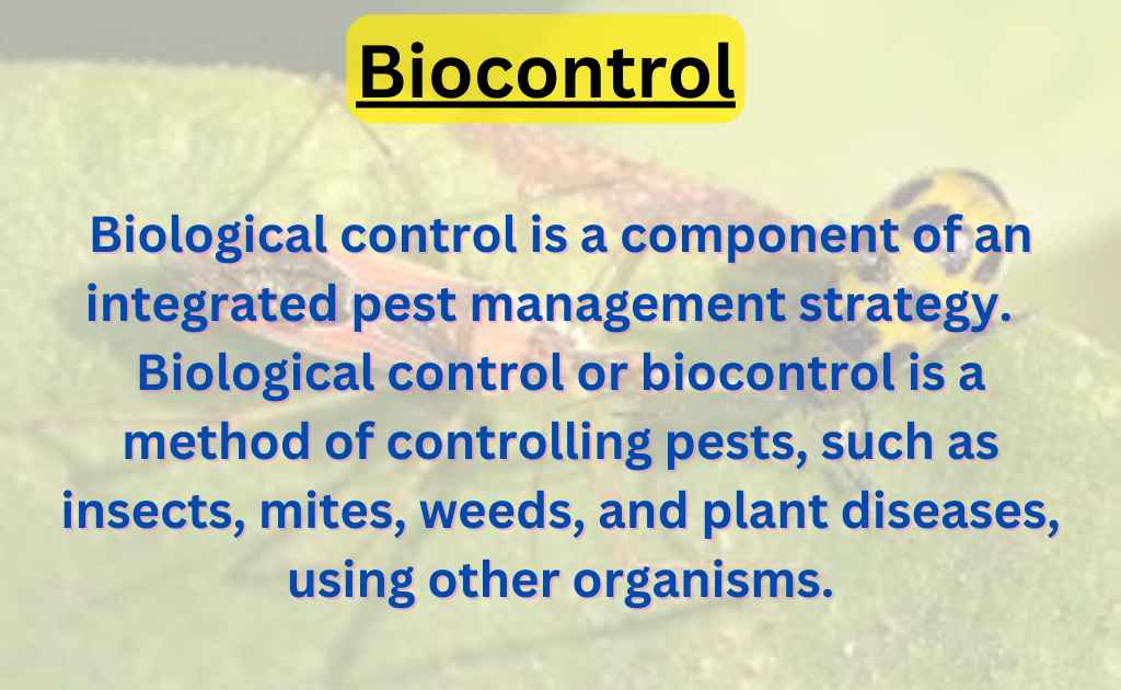 image showing what is Biocontrol