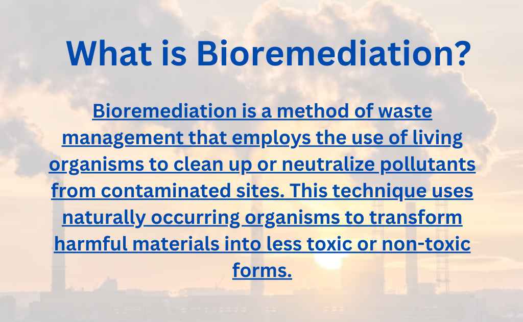 image sowing what is Bioremediation