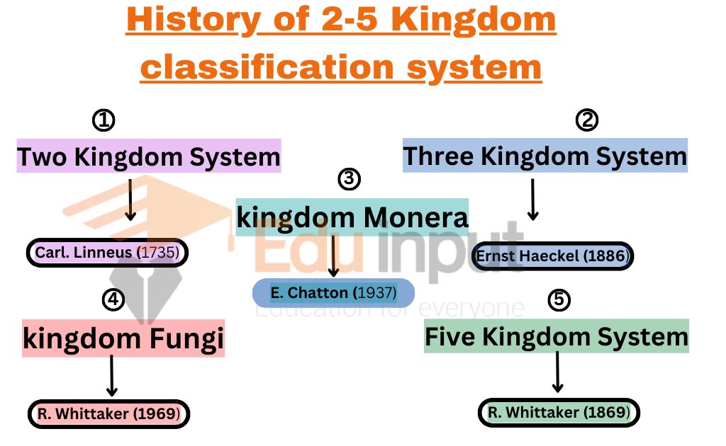 image of history of Two To Five Kingdom Classification System