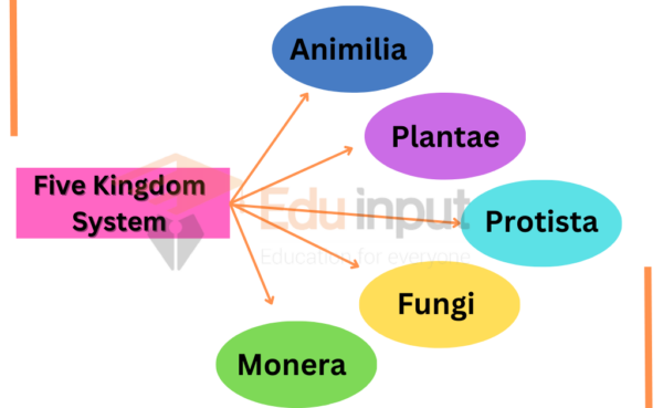 Two To Five Kingdom Classification System-An Overview