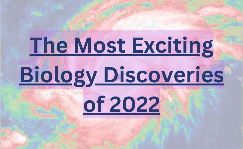 the-most-exciting-biology-discoveries-of-2022