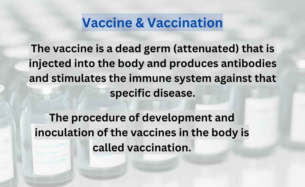 image showing What is Vaccine & vaccination