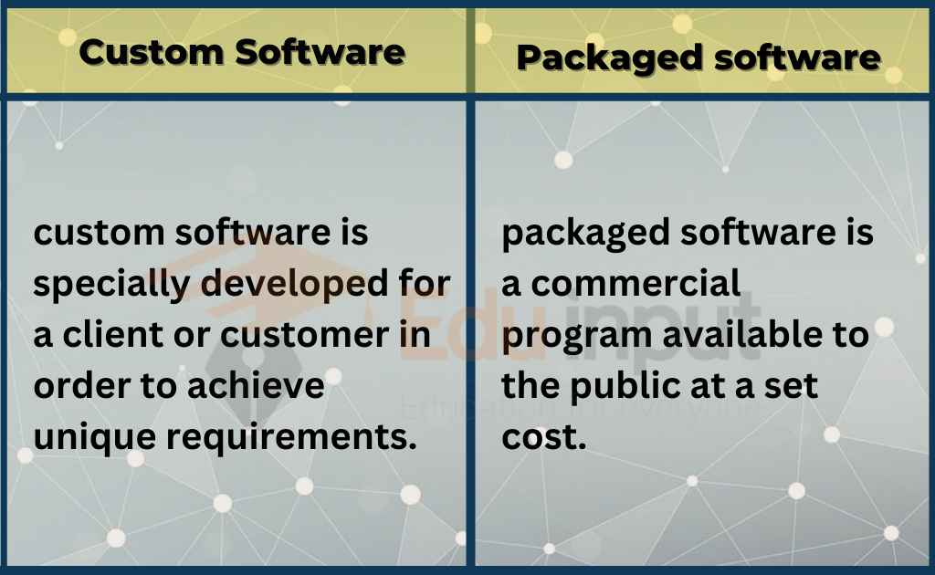 image showing the custom software vs packaged software 