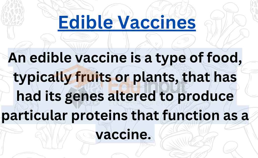image showing what are 
edible vaccine