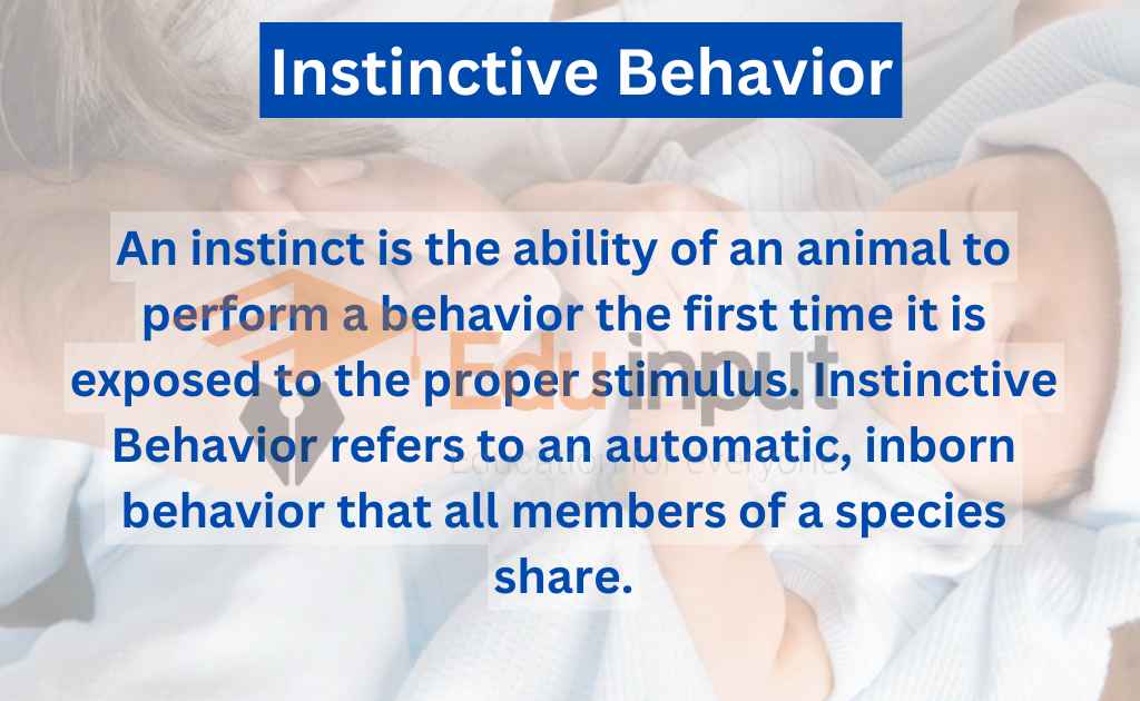Image showing what is instinctive behavior