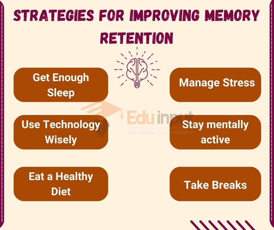 Image showing Strategies for Improving Memory Retention