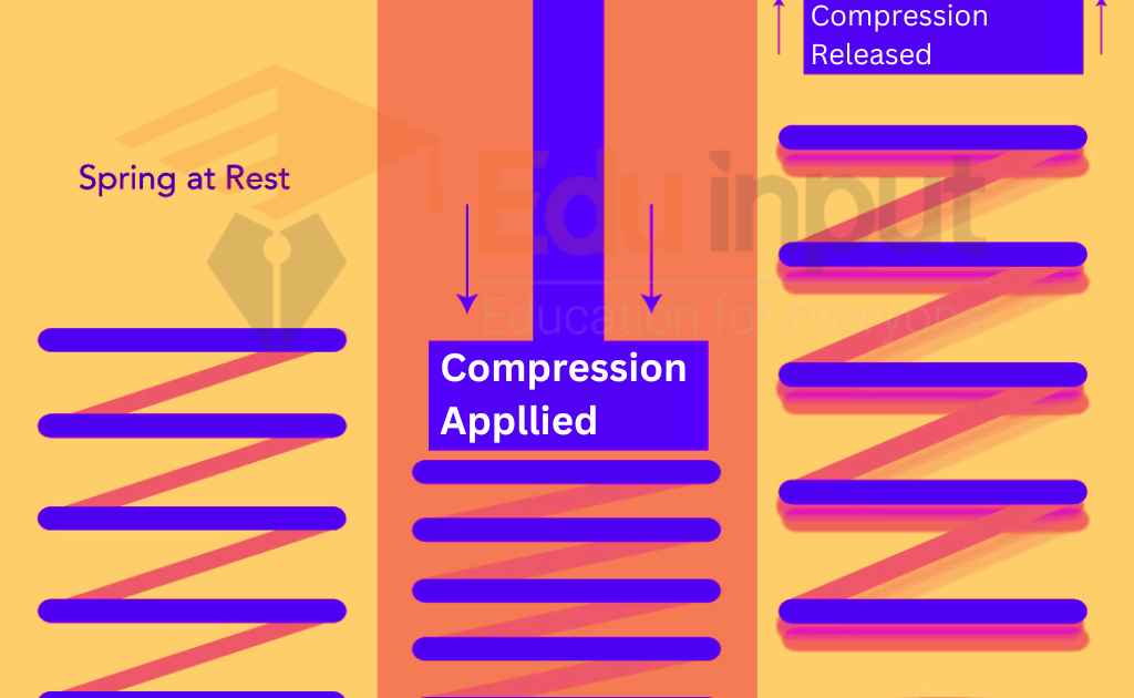 image showing the Compression Force Applied to a Spring