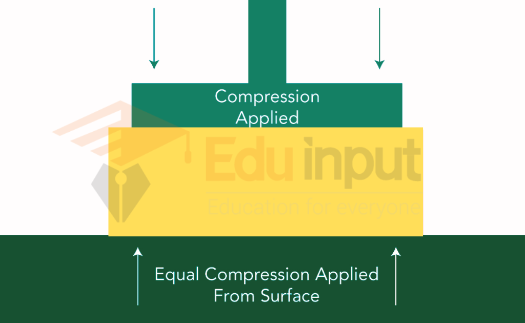 image showing the Compression Force Applied to an Object on a Solid Surface: 