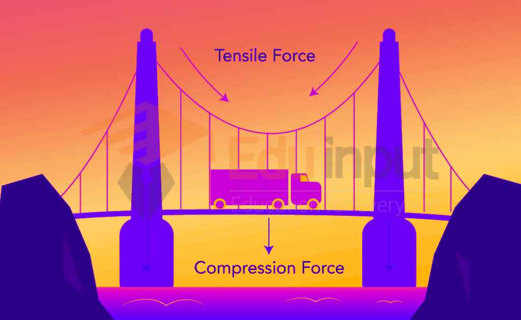 image showing the Compression Force on a Suspension Bridge