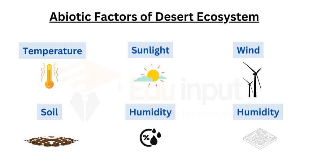 image showing abiotic factors of desert ecosystem