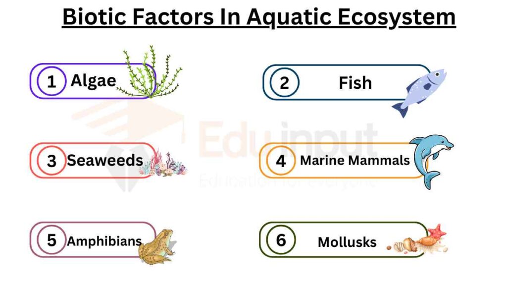 iMAGE SHOWING Biotic Factors In Aquatic Ecosystem