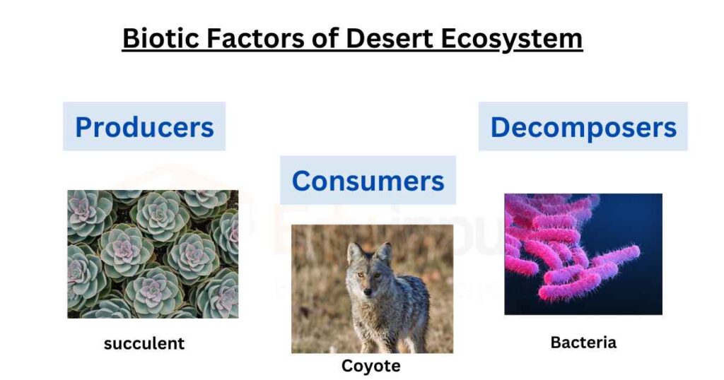 image showing biotic factors of desert ecosystem