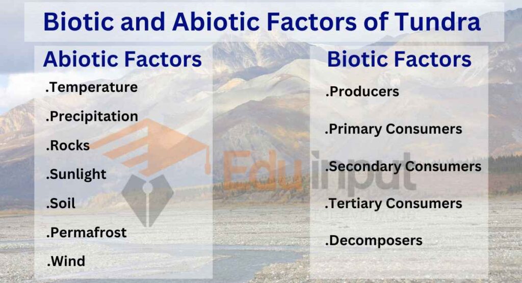 image showing Biotic and Abiotic Factors of Tundra Ecosystem