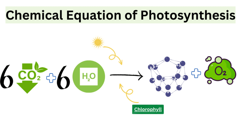 what is the meaning of the chemical equation for photosynthesis