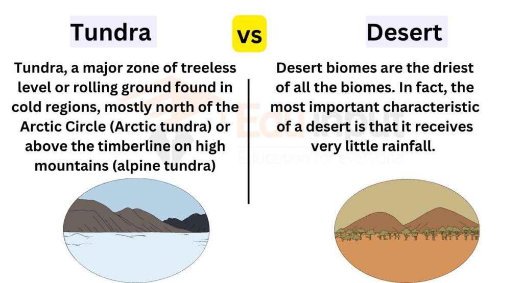 image showing Difference Between Tundra and Desert Biome