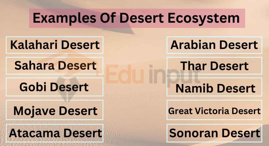 Examples Of Desert Ecosystem image