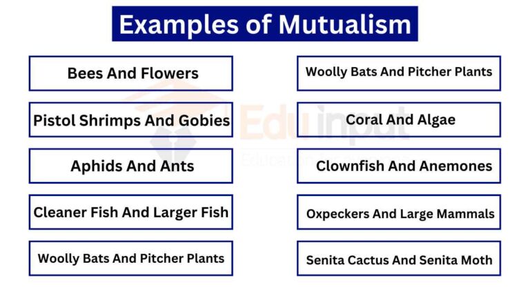 Examples Of Mutualism