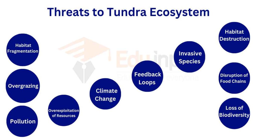 image showing Threats to Tundra Ecosystem
