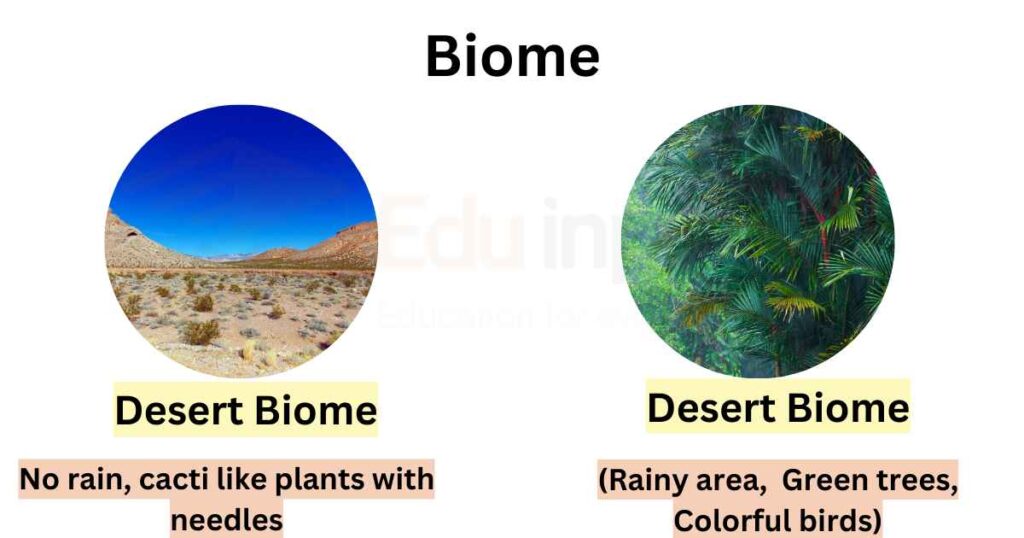 image showing demonstration of biome
