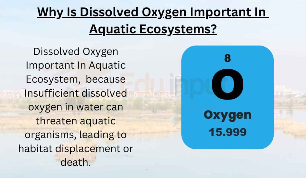 image showing Why Is Dissolved Oxygen Important In Aquatic Ecosystems 