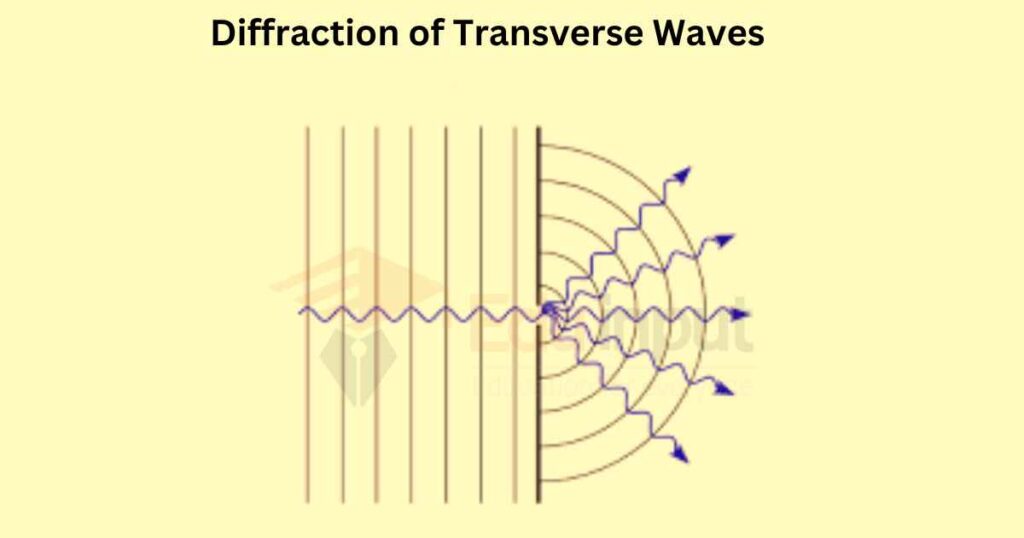 image showing the Diffraction of Transverse Waves