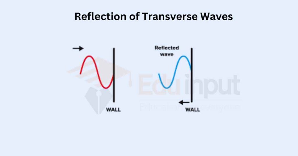 image showing the Reflection of Transverse Waves