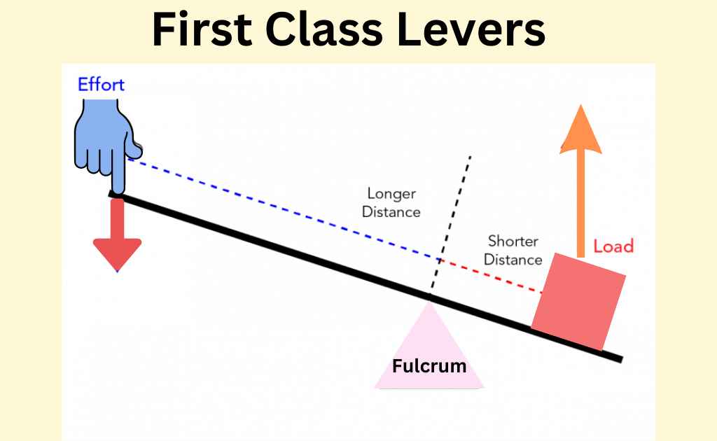image showing the first class lever simple machine