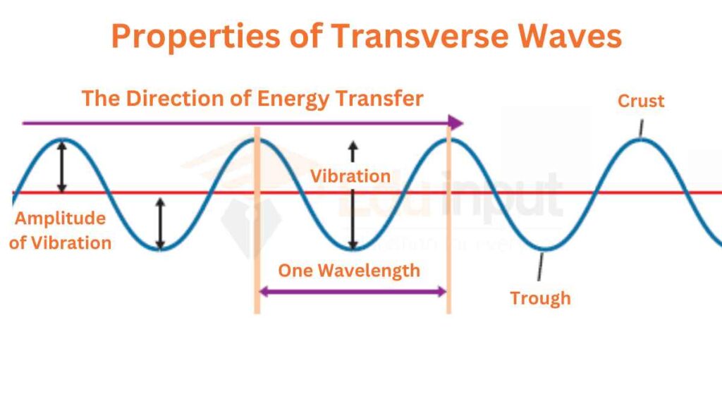 image showing the characteristics of transverse waves