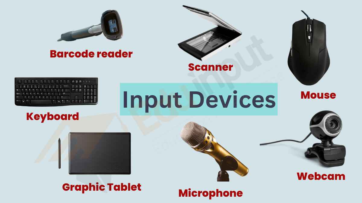 Input, output, processing, and storage devices of computer