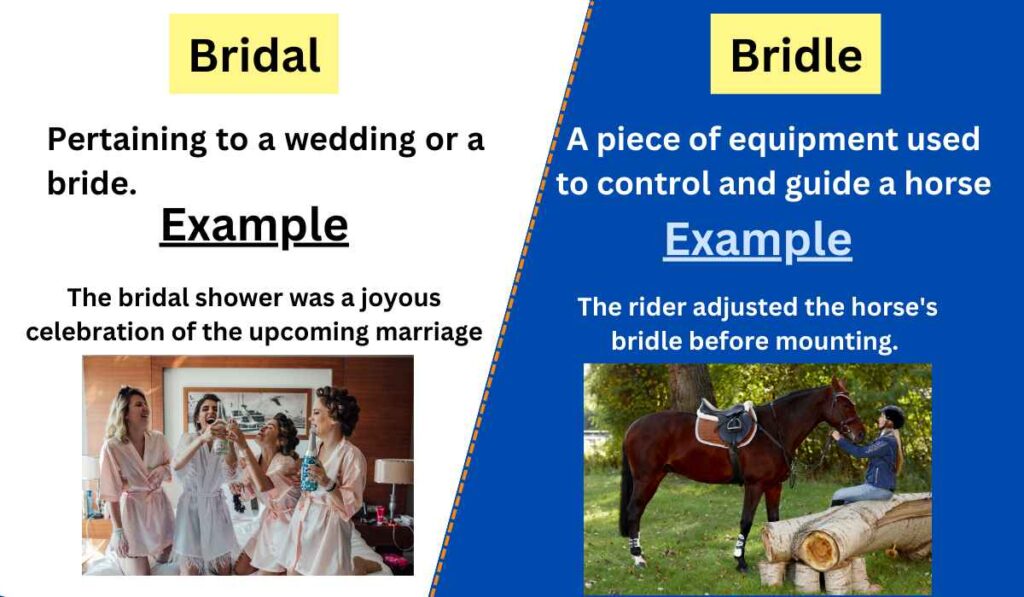 Image showing Difference between bridal vs bridle