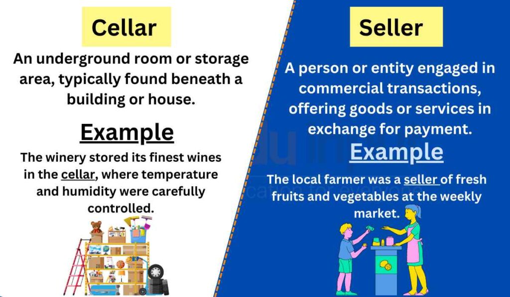 Cellar vs. SellerDifference between and Examples