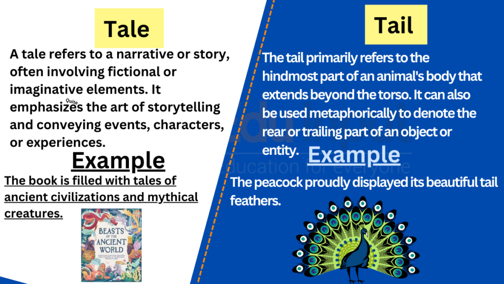 tale-vs-tail-difference-between-and-examples