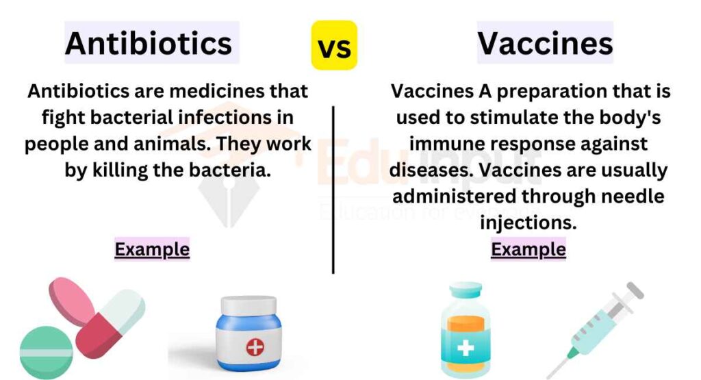 image showing Difference Between Antibiotics and Vaccines