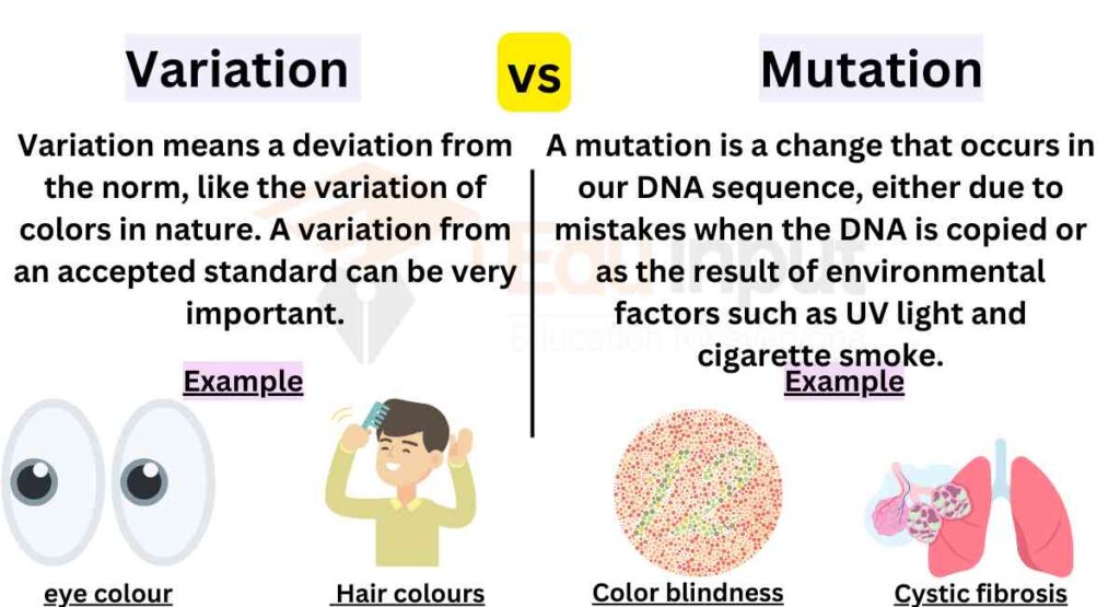 image showing Differences Between Variation And Mutation