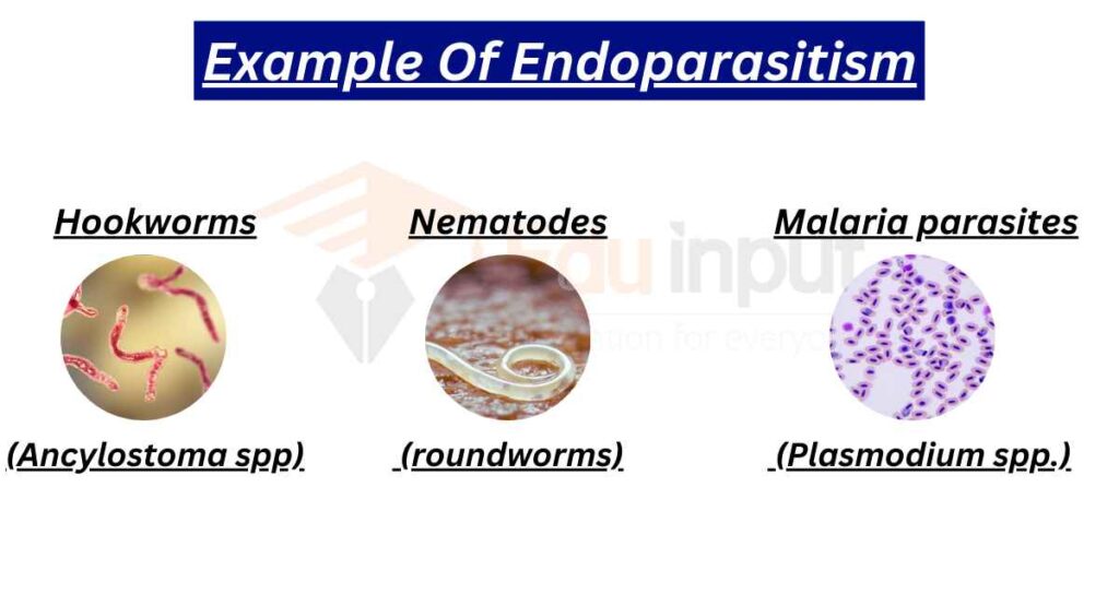 image showing endoparatism examples