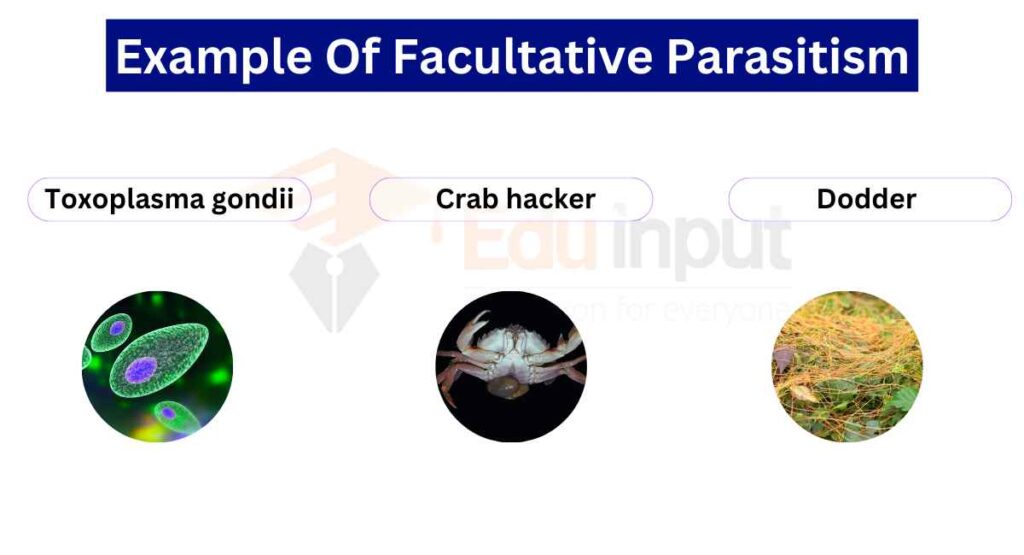 image showing examples of facultative parasites
