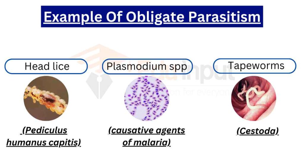 IMAGE SHOWING EXAMPLES OF obligate parasites