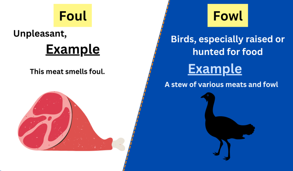 Image showing the difference between Foul and fowl