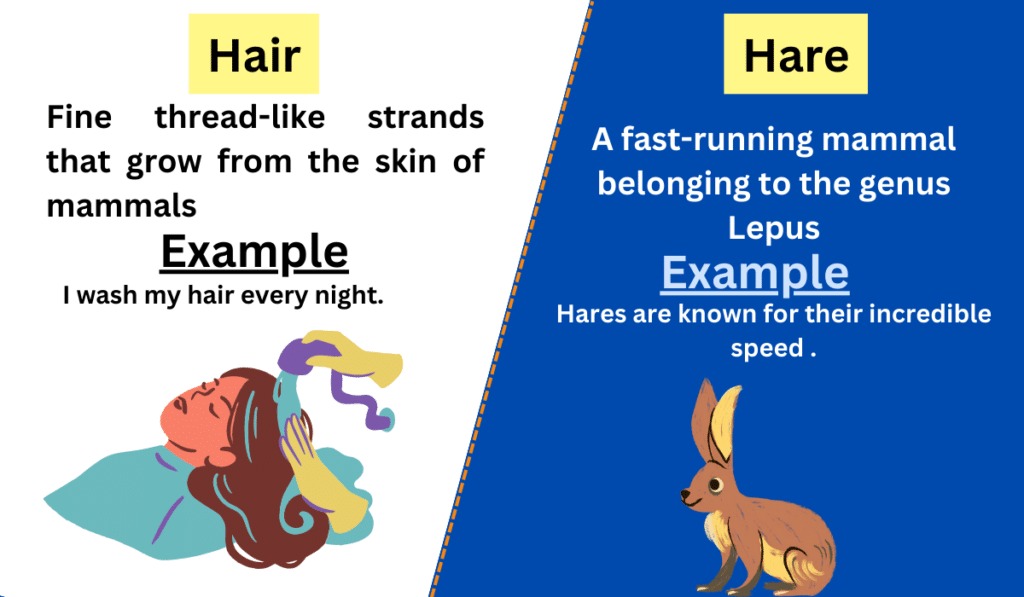  Hair Vs Hare Difference Between And Example