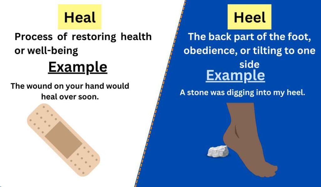 Image showing the difference between heal and heel
