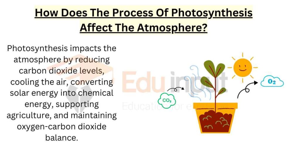 image showing How Does The Process Of Photosynthesis Affect The Atmosphere?