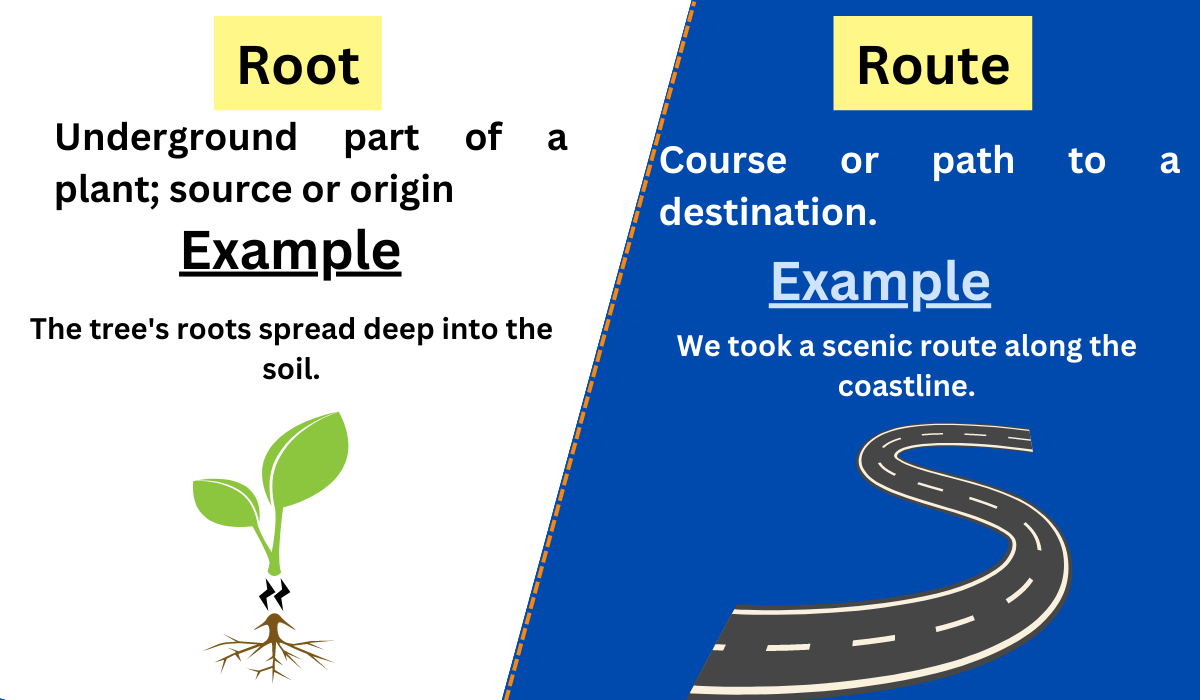 trip definition root